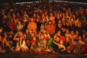 Cirque Bijou - Wilderness Festival 2016 spectacle show - audience gasp and point at dazzling performance
