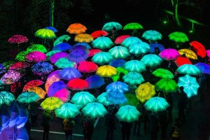 Cirque Bijou - a group of brightly glowing LED Umbrellas in a rainbow of colours