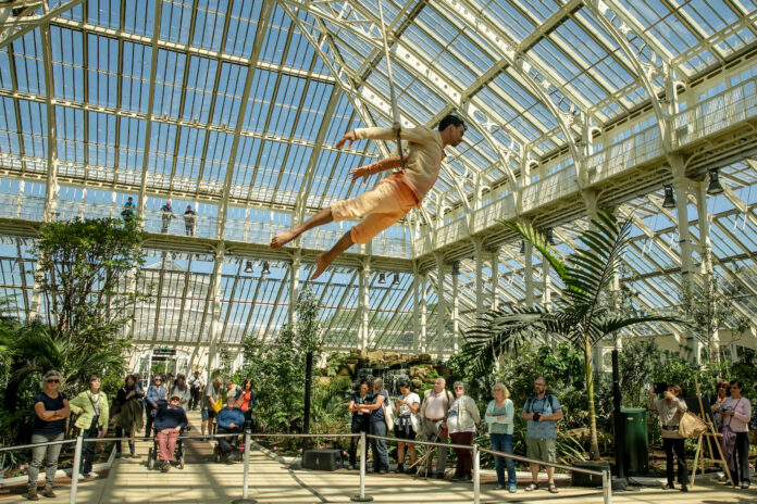 Aerialist performs at the glass house in Kew Gardens, surrounded by glass and foliage